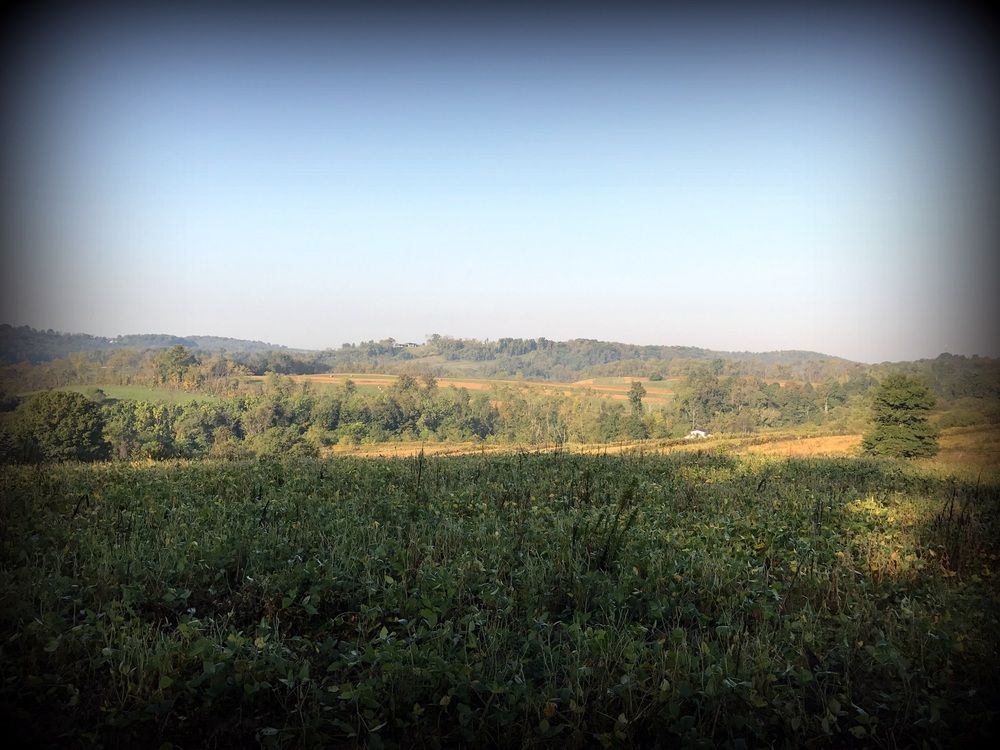 ±87 Acres Land: Route 519, North Strabane, PA 15317